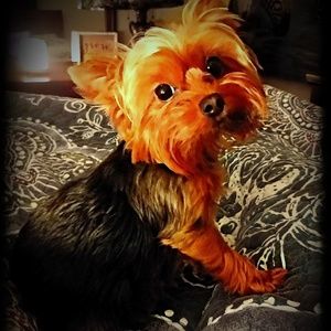 Meet your Posher, Angela